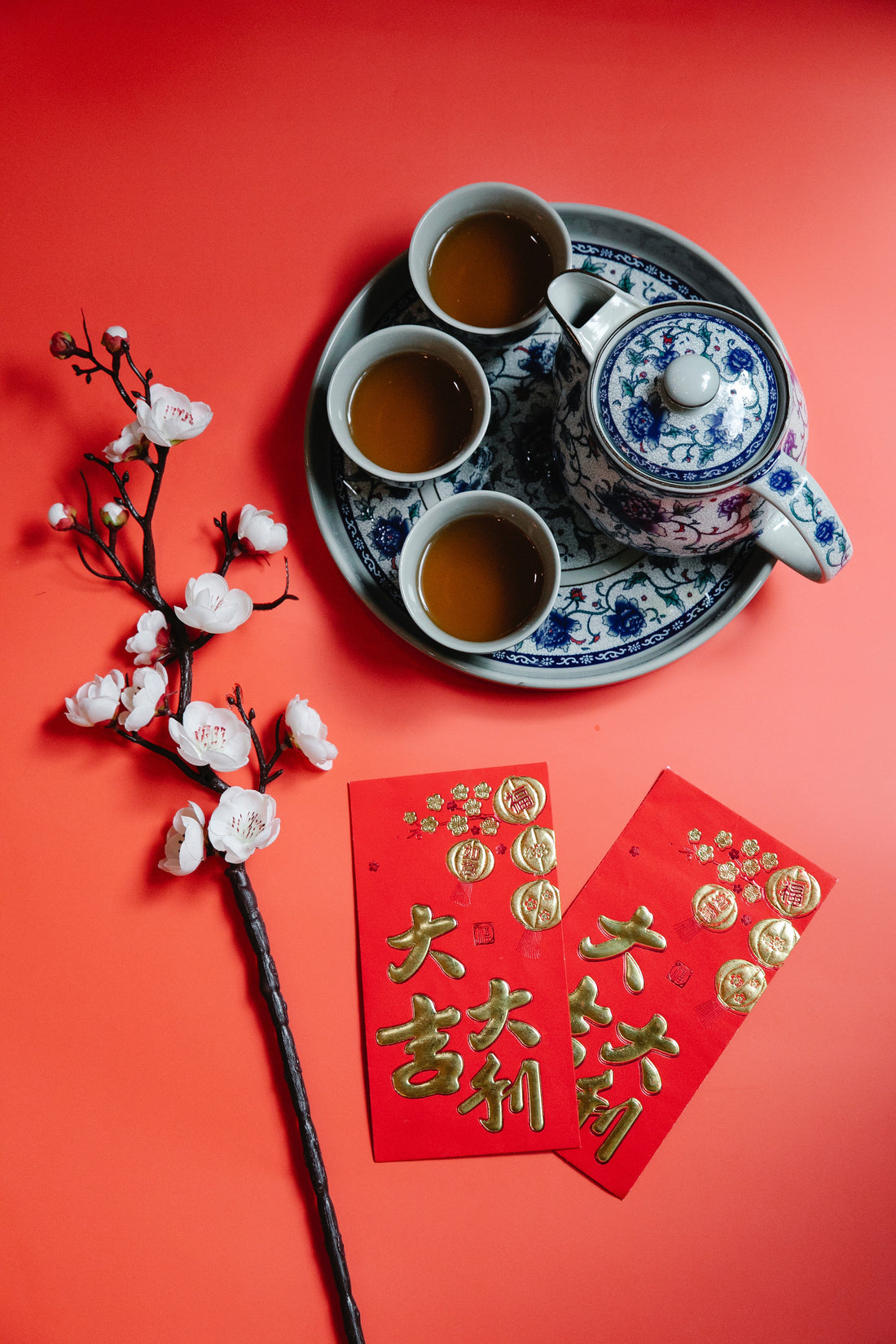 Ayurvedic Indian vs Chinese Medicine