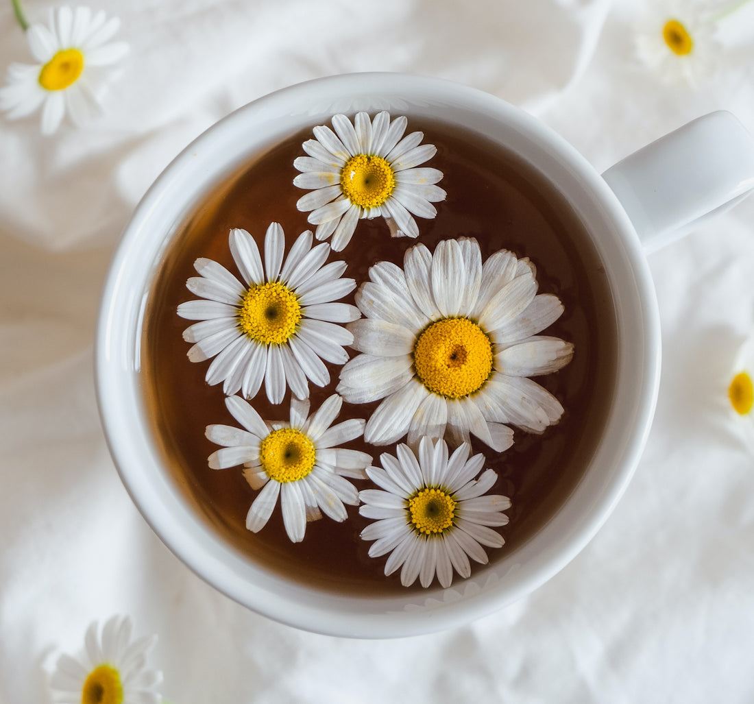 A Quick Guide How To Make The Perfect Herbal Tea
